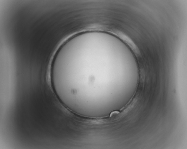 X0000102301288200808081537