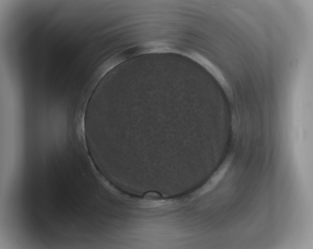 X0000102301289200808081537