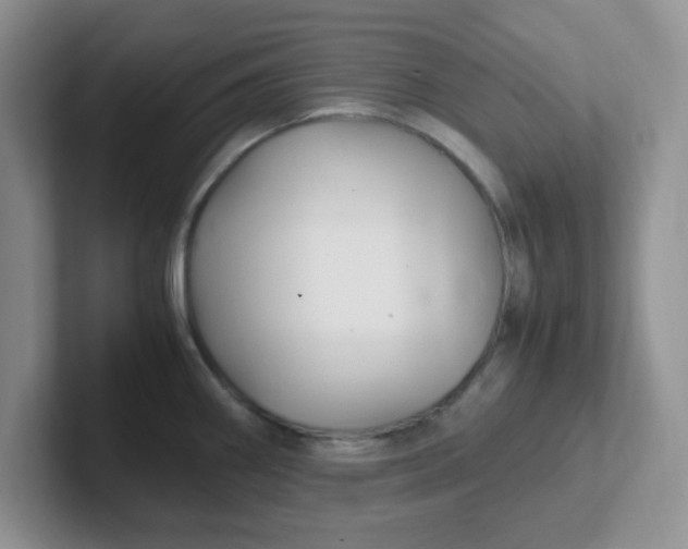 X0000102301290200808081537