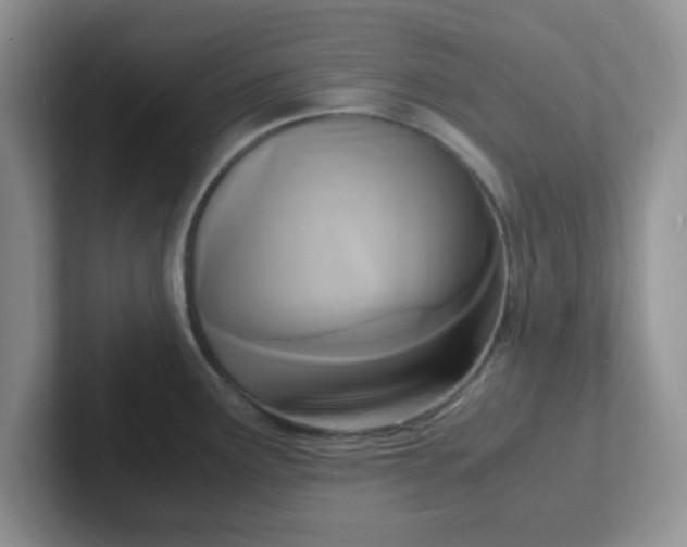 X0000102301291200808081537