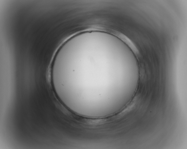 X0000102301292200808081537