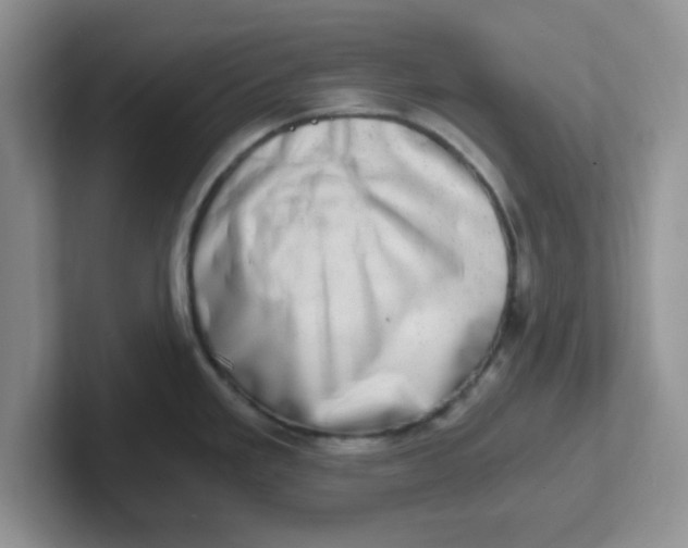 X0000102301293200808081537