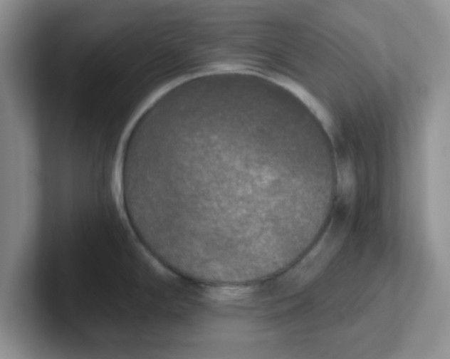 X0000102301294200808081537