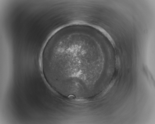 X0000102301295200808081537