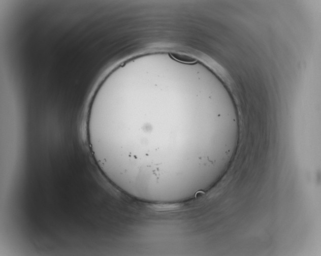 X0000102301296200808081537