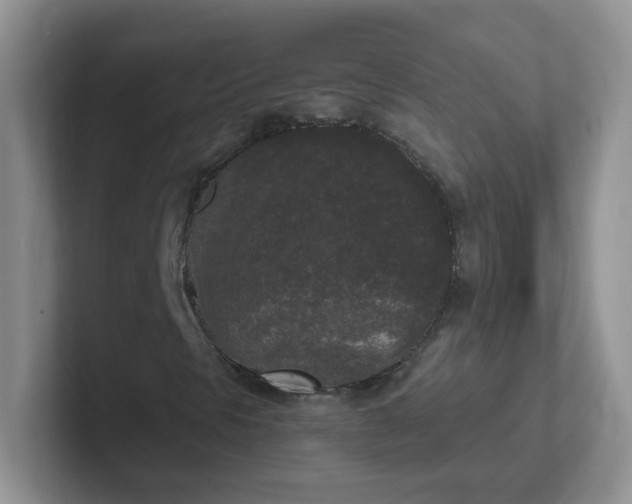 X0000102301297200808081536