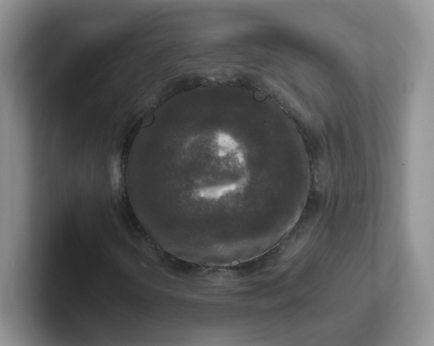 X0000102301298200808081536