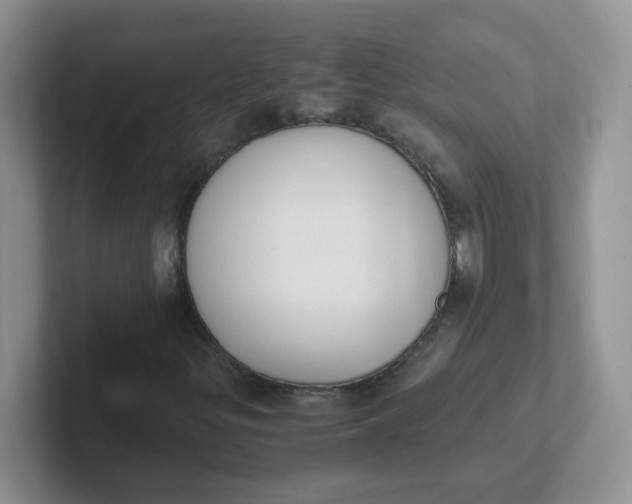 X0000102301299200808081536