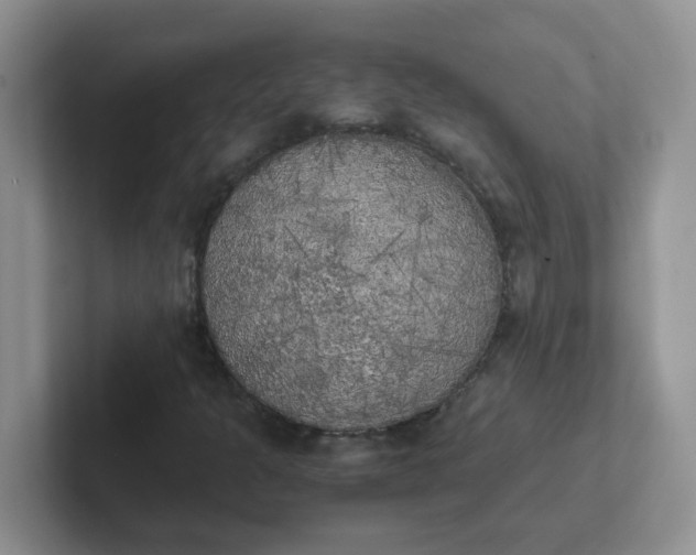 X0000102301301200808081536