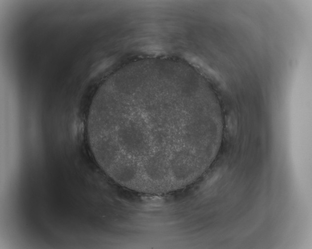 X0000102301302200808081536