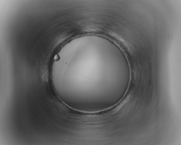 X0000102301306200808081536