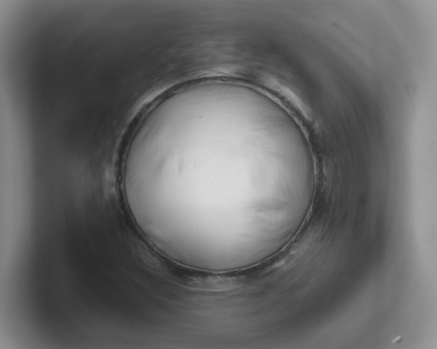 X0000102301308200808081536