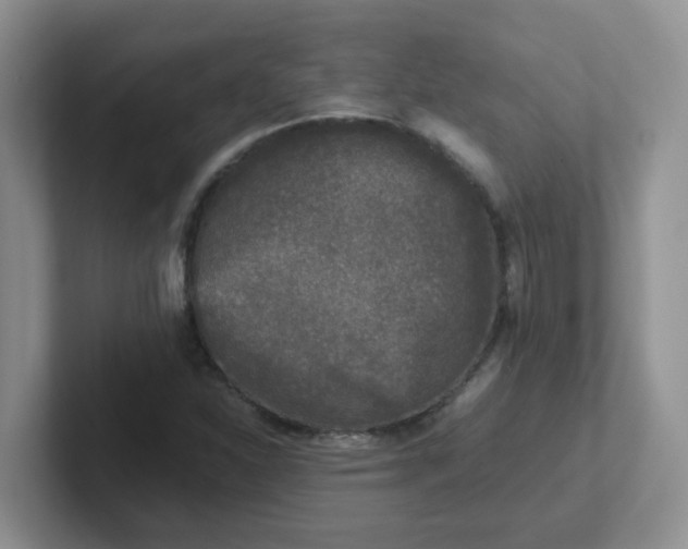 X0000102301310200808081536