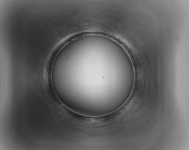 X0000102301311200808081536