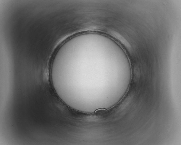 X0000102301316200808081536