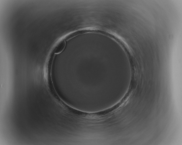 X0000102301319200808081536