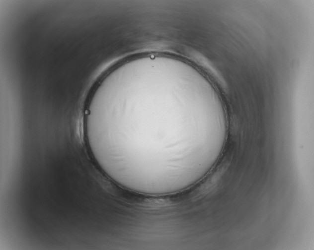 X0000102301320200808081536