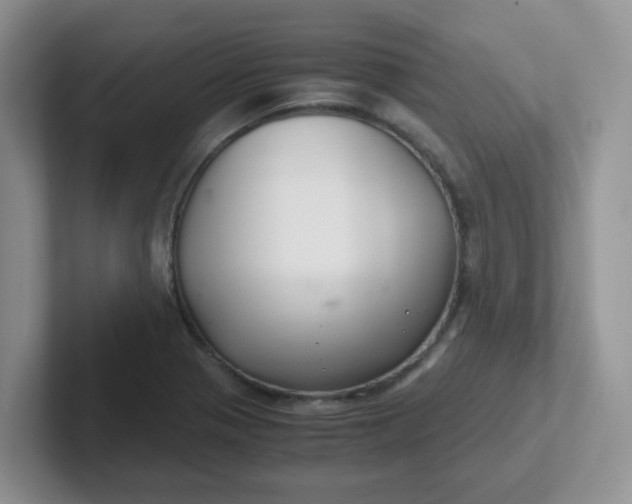 X0000102301321200808081536