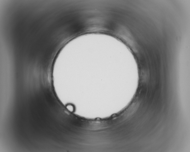 X0000102301322200808081536