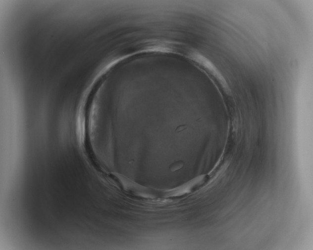 X0000102301323200808081536