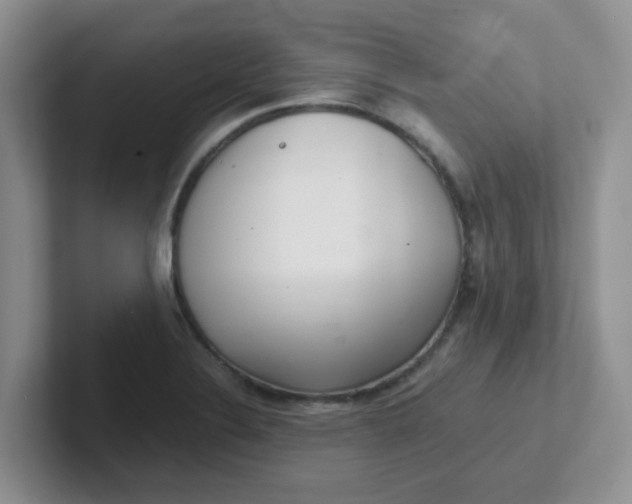 X0000102301324200808081536