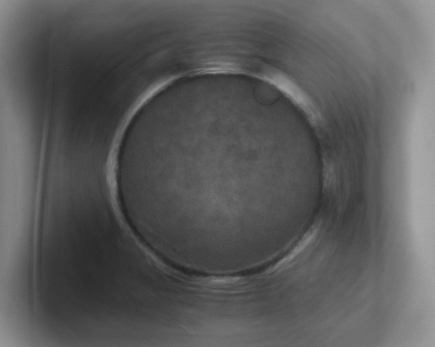 X0000102301325200808081536