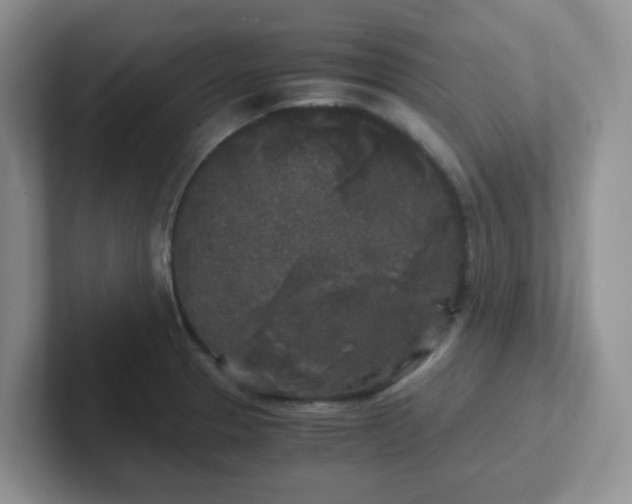 X0000102301329200808081536