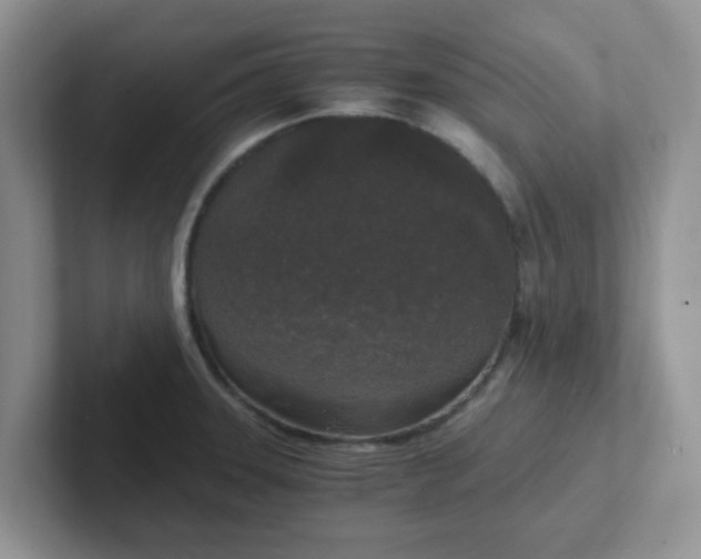 X0000102301331200808081536