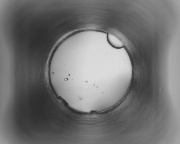 X0000102301332200808081536