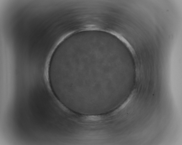 X0000102301333200808081536