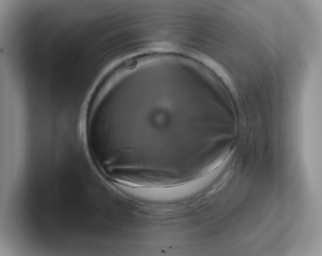 X0000102301334200808081536