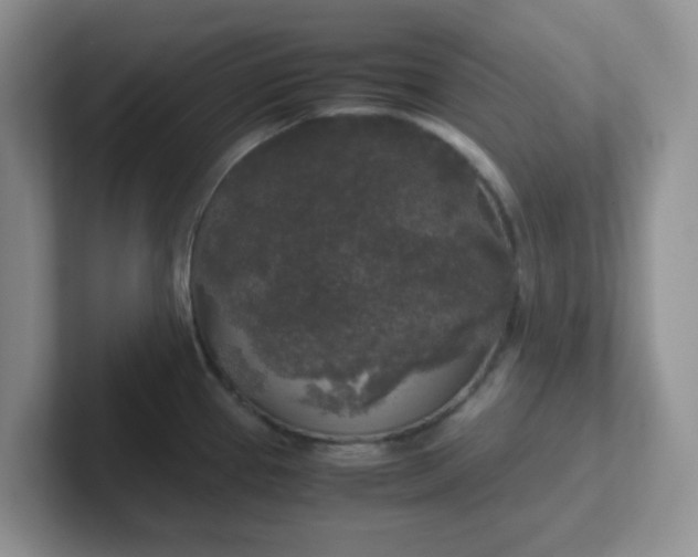 X0000102301337200808081536