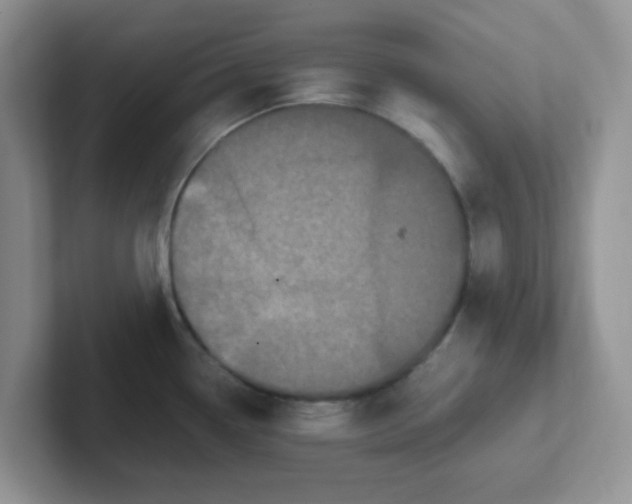 X0000102301338200808081536