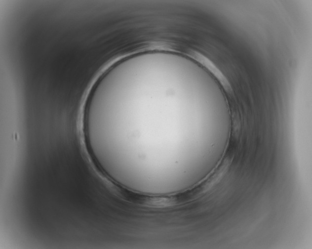 X0000102301339200808081536