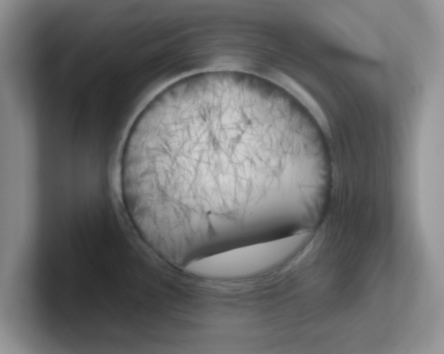 X0000102301340200808081536