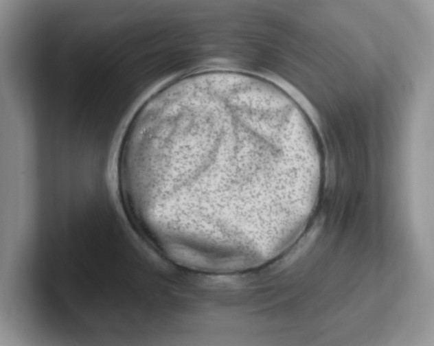 X0000102301341200808081536