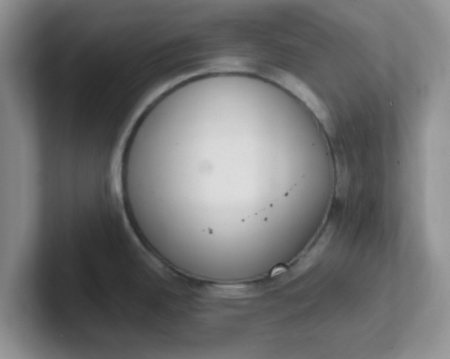 X0000102301342200808081536