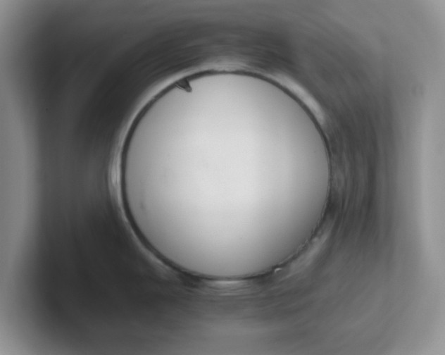 X0000102301343200808081536