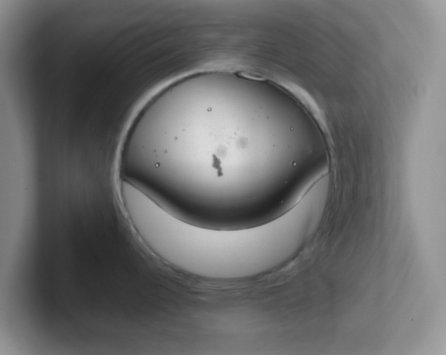 X0000102301344200808081536