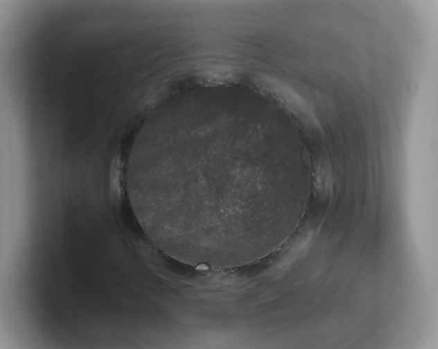 X0000102301346200808081536