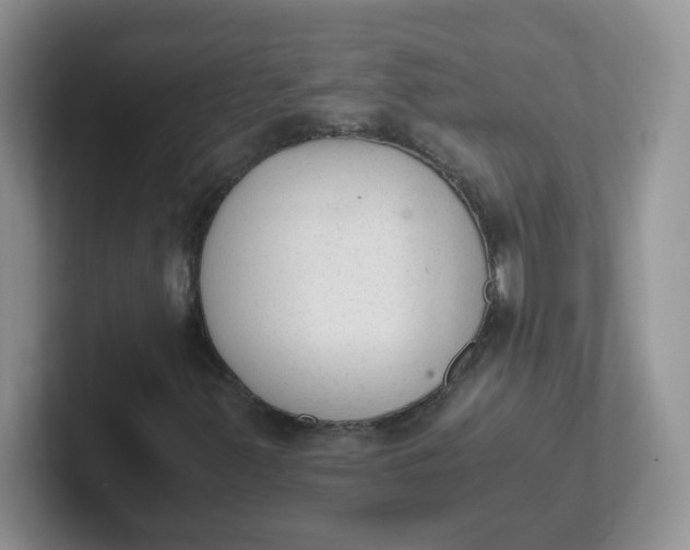 X0000102301347200808081536