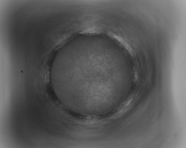 X0000102301350200808081536