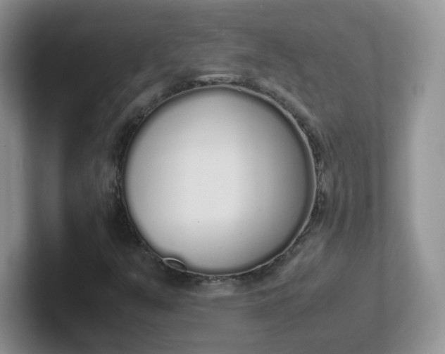 X0000102301351200808081536