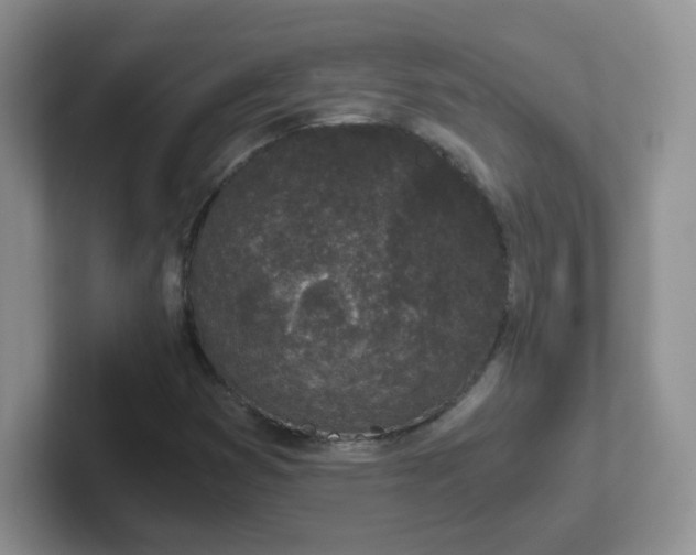 X0000102301353200808081536