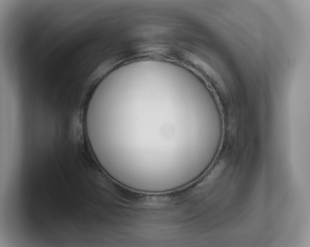 X0000102301354200808081536