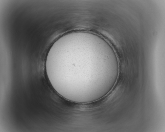 X0000102301355200808081536