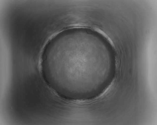 X0000102301357200808081536