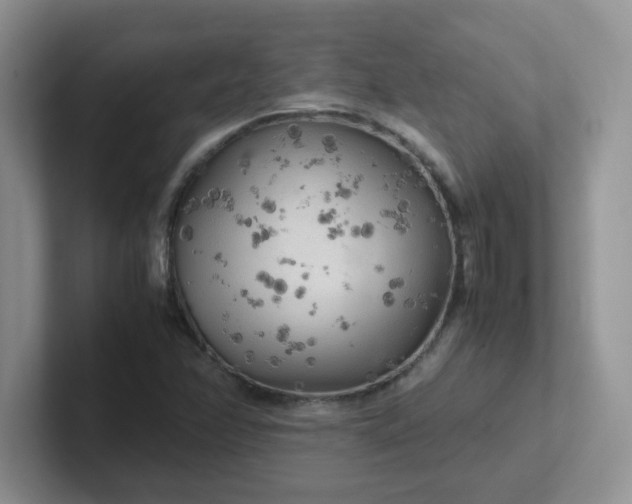 X0000102301358200808081536