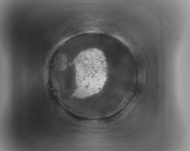 X0000102301359200808081536