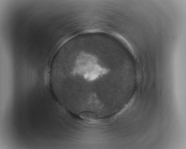 X0000102301361200808081536